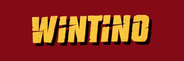 Bannière de Wintino Casino